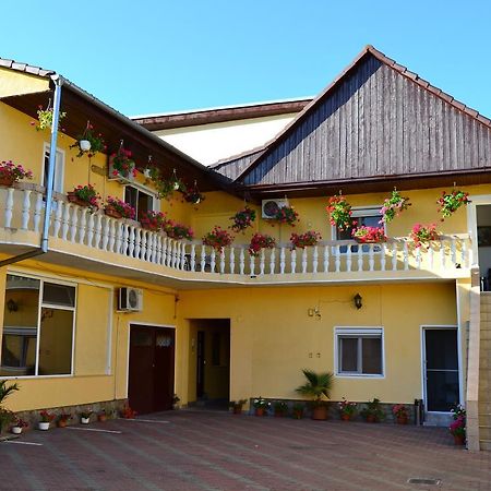 Pensiunea Alexander Arad Exterior photo
