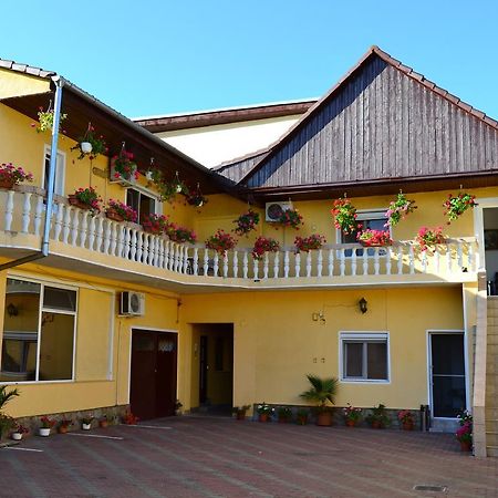 Pensiunea Alexander Hotel Arad Exterior photo