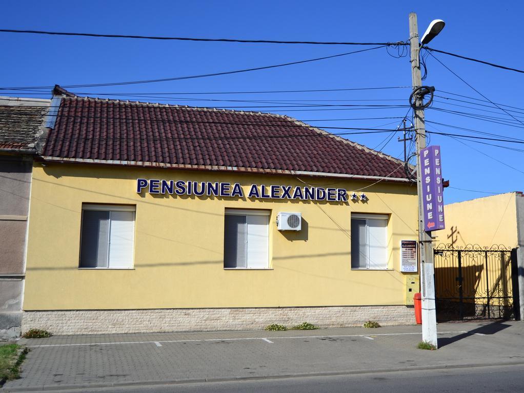 Pensiunea Alexander Arad Exterior photo