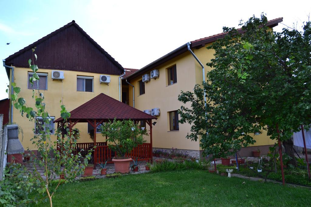 Pensiunea Alexander Arad Exterior photo